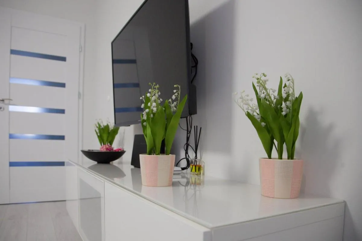 Image 1 of Apartament Wrocław Borowska
