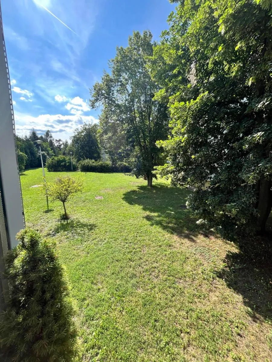 Image 5 of Apartament u Buni