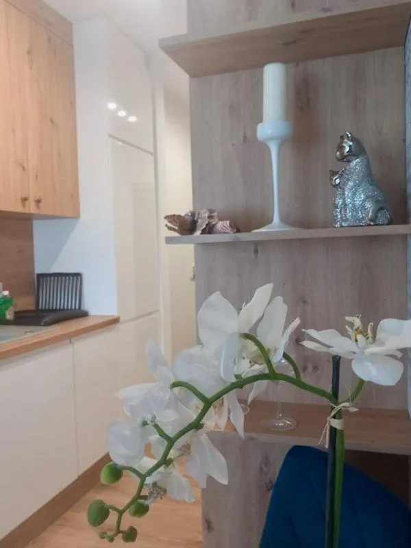 Image 5 of Jaworska 4 Apartments Wrocław
