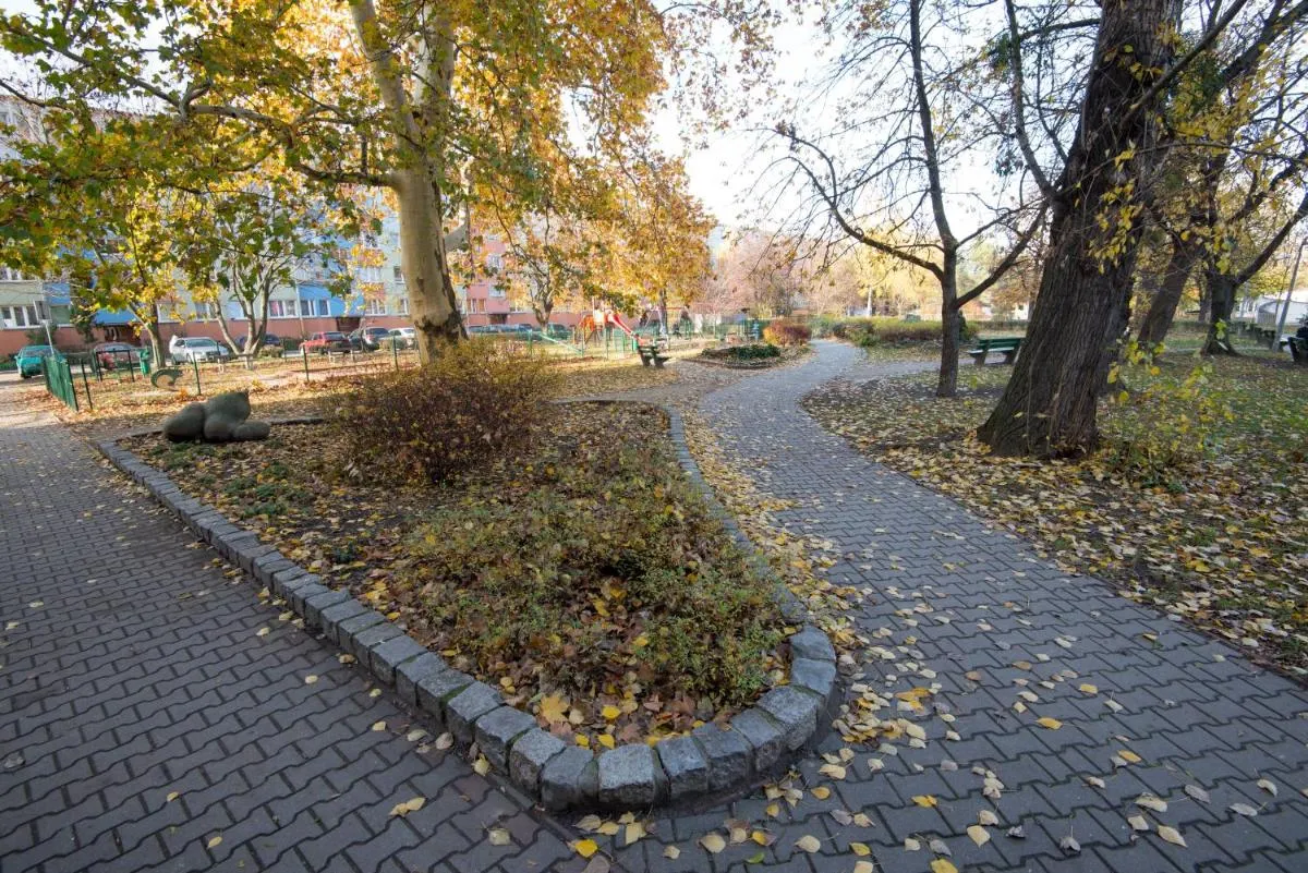 Image 5 of Studzienna