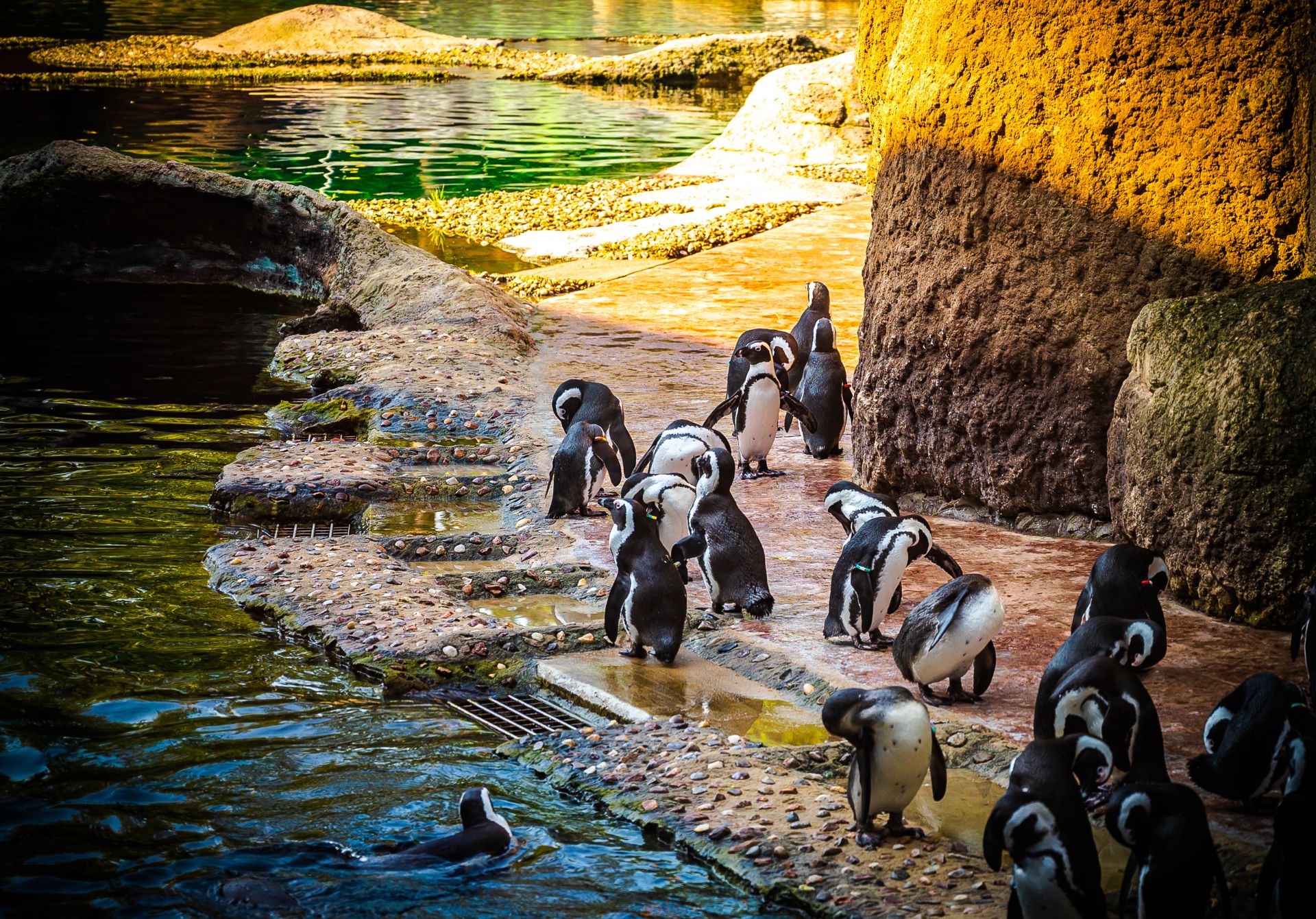 Wrocław Zoo